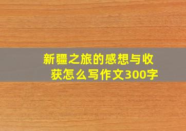 新疆之旅的感想与收获怎么写作文300字