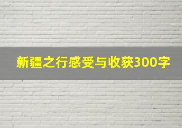 新疆之行感受与收获300字