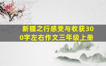 新疆之行感受与收获300字左右作文三年级上册