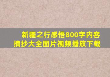 新疆之行感悟800字内容摘抄大全图片视频播放下载