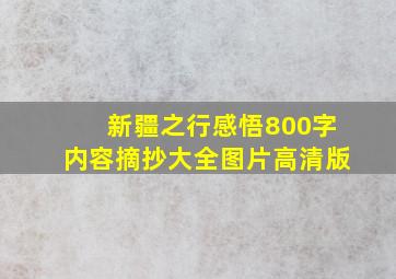 新疆之行感悟800字内容摘抄大全图片高清版