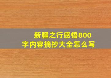 新疆之行感悟800字内容摘抄大全怎么写