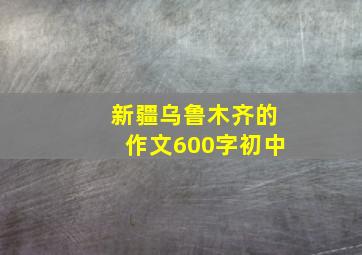 新疆乌鲁木齐的作文600字初中