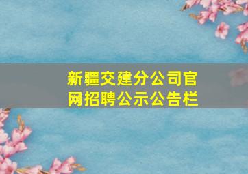 新疆交建分公司官网招聘公示公告栏