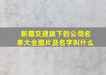 新疆交建旗下的公司名单大全图片及名字叫什么