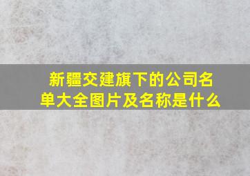 新疆交建旗下的公司名单大全图片及名称是什么