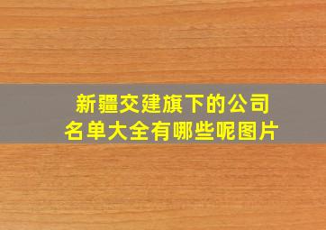 新疆交建旗下的公司名单大全有哪些呢图片