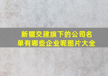 新疆交建旗下的公司名单有哪些企业呢图片大全