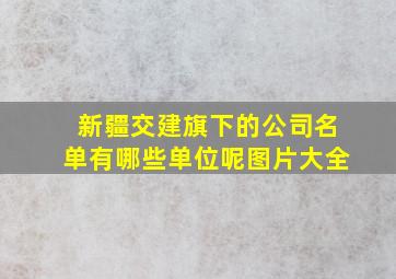 新疆交建旗下的公司名单有哪些单位呢图片大全