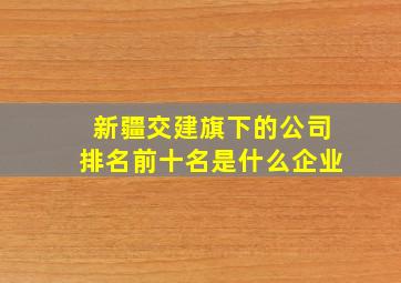 新疆交建旗下的公司排名前十名是什么企业