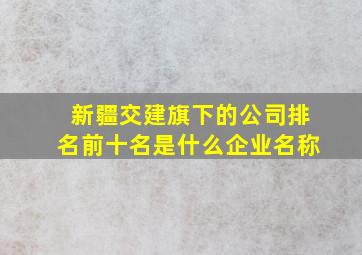 新疆交建旗下的公司排名前十名是什么企业名称