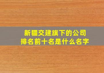 新疆交建旗下的公司排名前十名是什么名字