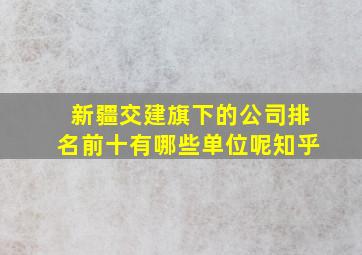 新疆交建旗下的公司排名前十有哪些单位呢知乎