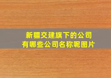 新疆交建旗下的公司有哪些公司名称呢图片