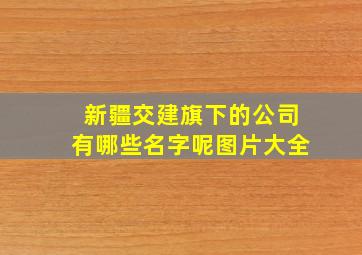 新疆交建旗下的公司有哪些名字呢图片大全