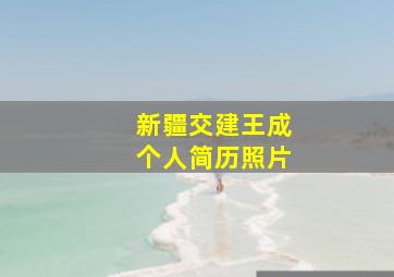 新疆交建王成个人简历照片