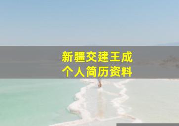 新疆交建王成个人简历资料