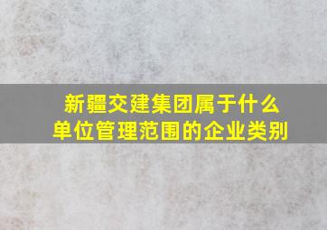 新疆交建集团属于什么单位管理范围的企业类别