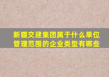 新疆交建集团属于什么单位管理范围的企业类型有哪些