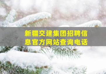 新疆交建集团招聘信息官方网站查询电话