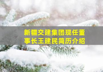 新疆交建集团现任董事长王建民简历介绍