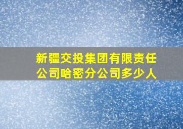 新疆交投集团有限责任公司哈密分公司多少人