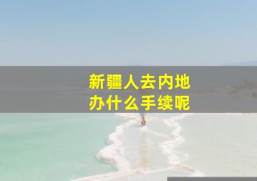 新疆人去内地办什么手续呢