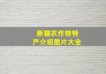 新疆农作物特产介绍图片大全