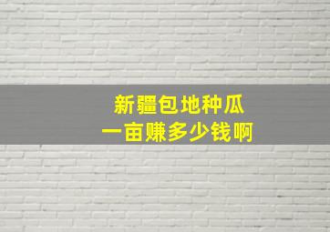 新疆包地种瓜一亩赚多少钱啊