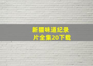 新疆味道纪录片全集20下载