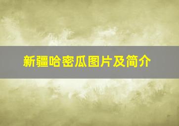 新疆哈密瓜图片及简介