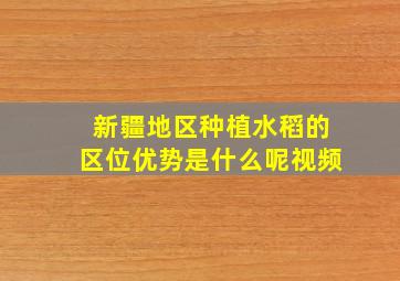 新疆地区种植水稻的区位优势是什么呢视频