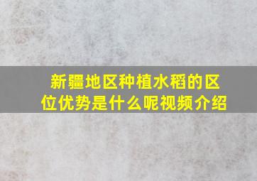 新疆地区种植水稻的区位优势是什么呢视频介绍