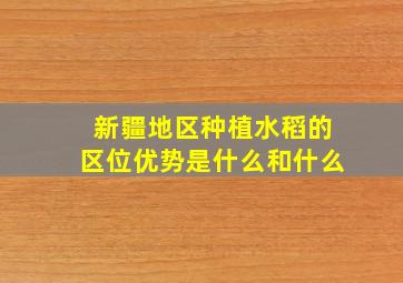 新疆地区种植水稻的区位优势是什么和什么