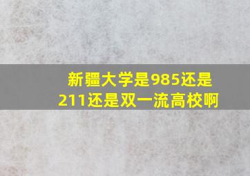 新疆大学是985还是211还是双一流高校啊