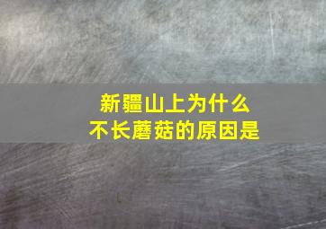 新疆山上为什么不长蘑菇的原因是