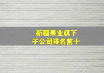 新疆果业旗下子公司排名前十