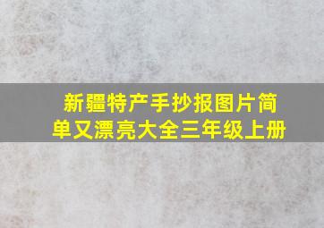 新疆特产手抄报图片简单又漂亮大全三年级上册