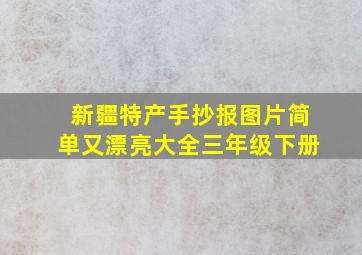 新疆特产手抄报图片简单又漂亮大全三年级下册