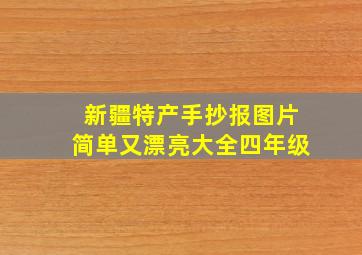 新疆特产手抄报图片简单又漂亮大全四年级