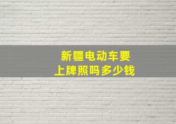 新疆电动车要上牌照吗多少钱