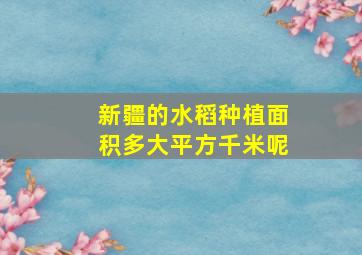 新疆的水稻种植面积多大平方千米呢