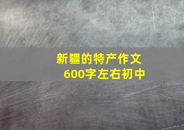 新疆的特产作文600字左右初中