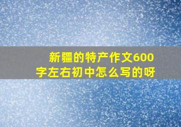 新疆的特产作文600字左右初中怎么写的呀