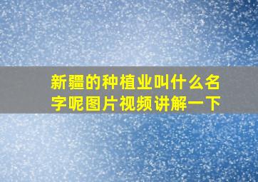 新疆的种植业叫什么名字呢图片视频讲解一下