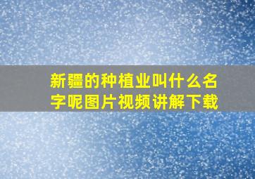 新疆的种植业叫什么名字呢图片视频讲解下载