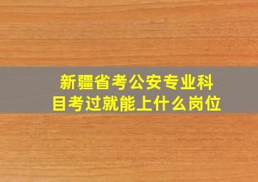 新疆省考公安专业科目考过就能上什么岗位