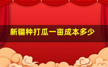 新疆种打瓜一亩成本多少