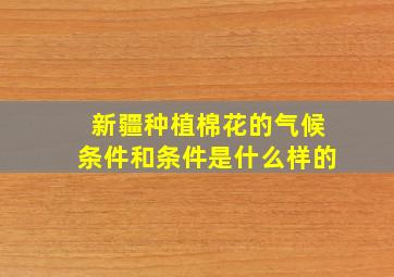 新疆种植棉花的气候条件和条件是什么样的