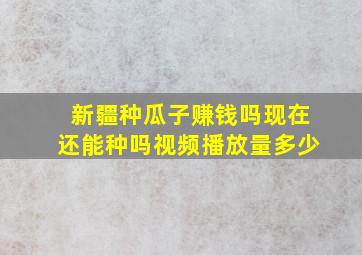 新疆种瓜子赚钱吗现在还能种吗视频播放量多少